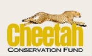 webassets/CheetahConservationFundLogo.jpg