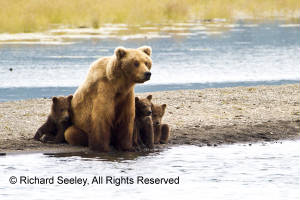 Safe With Mom